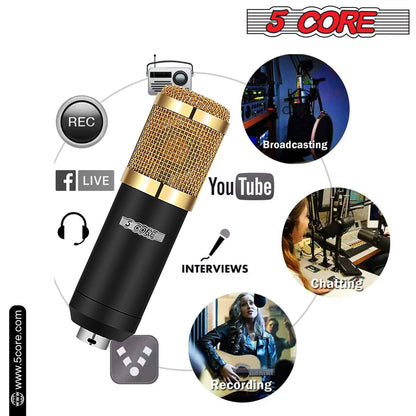 5Core Podcast Recording Microphone Bundle