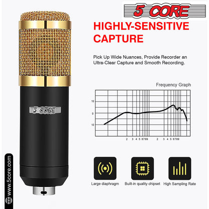 5Core Podcast Recording Microphone Bundle