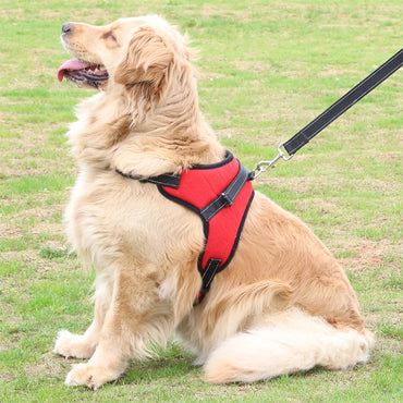 Adjustable Pet Harness, Medium or Large Sizes